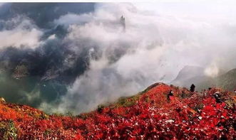 比日本紅楓還美 成都出發游船賞紅葉,還有地道風情美食