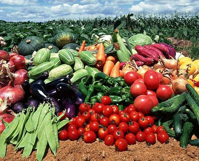 農(nóng)副產(chǎn)品“價(jià)賤傷農(nóng)”背后 價(jià)格低迷為何仍陷銷售困境？